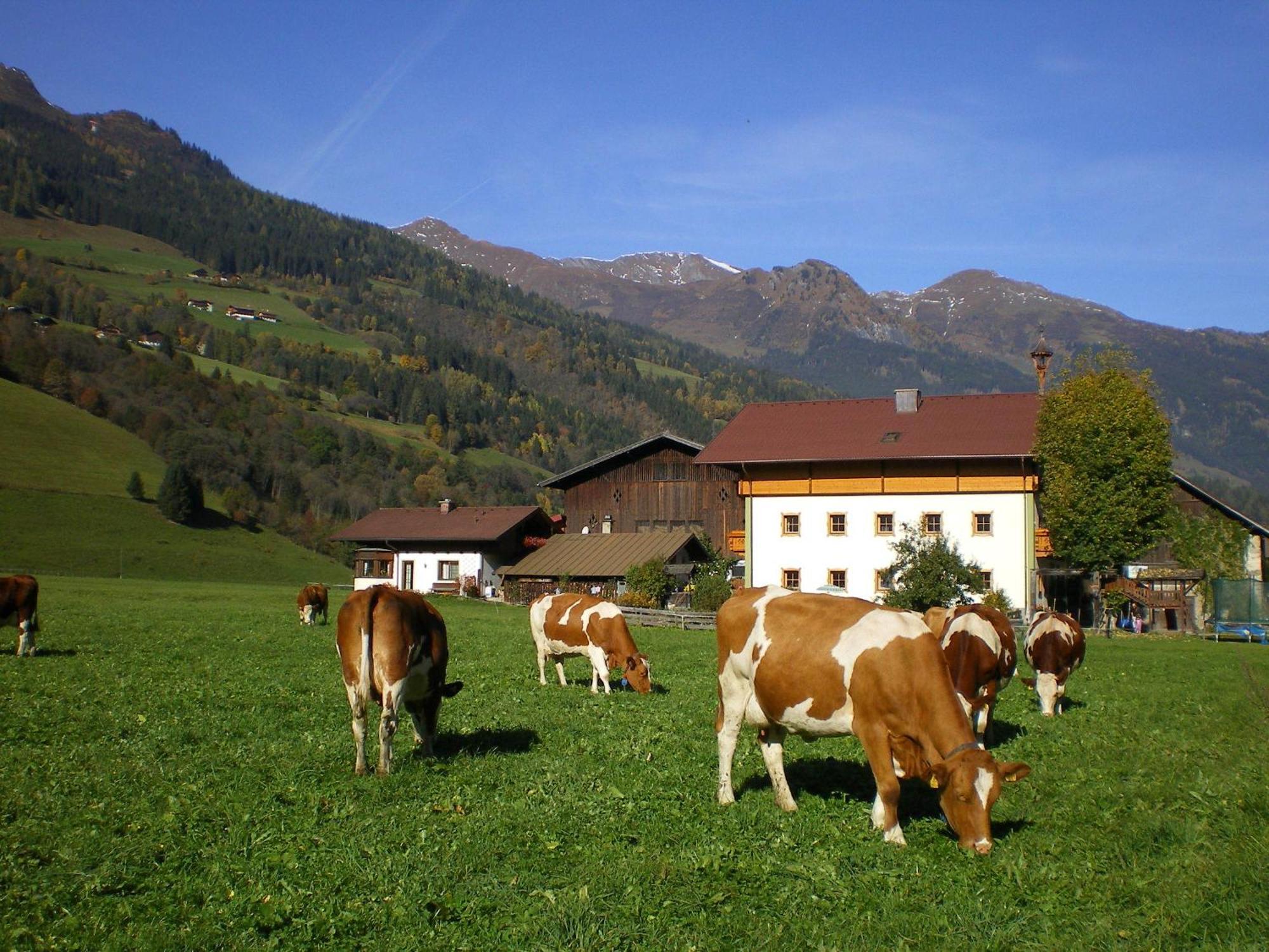 Vila Stubnerbauer Bad Hofgastein Exteriér fotografie