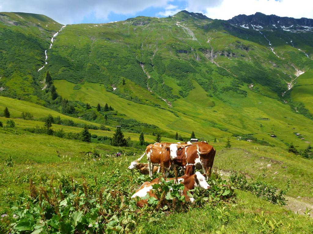 Vila Stubnerbauer Bad Hofgastein Exteriér fotografie