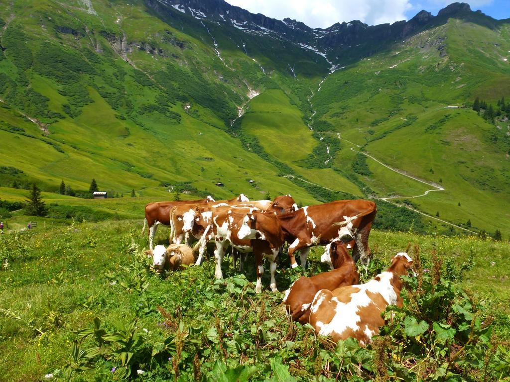 Vila Stubnerbauer Bad Hofgastein Exteriér fotografie