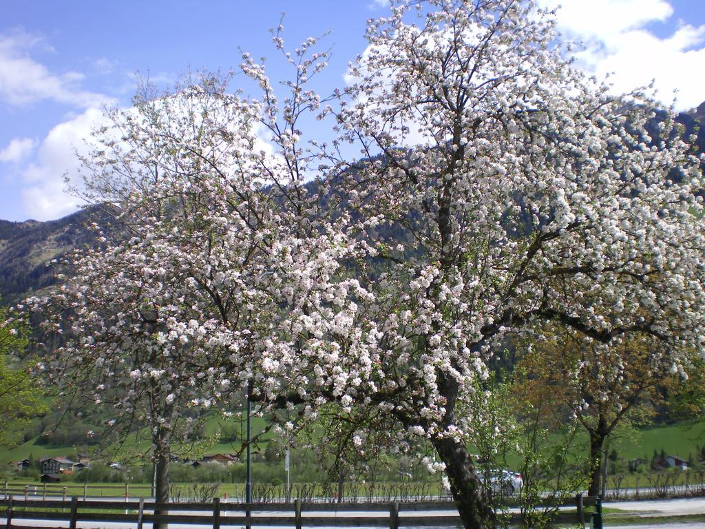Vila Stubnerbauer Bad Hofgastein Exteriér fotografie