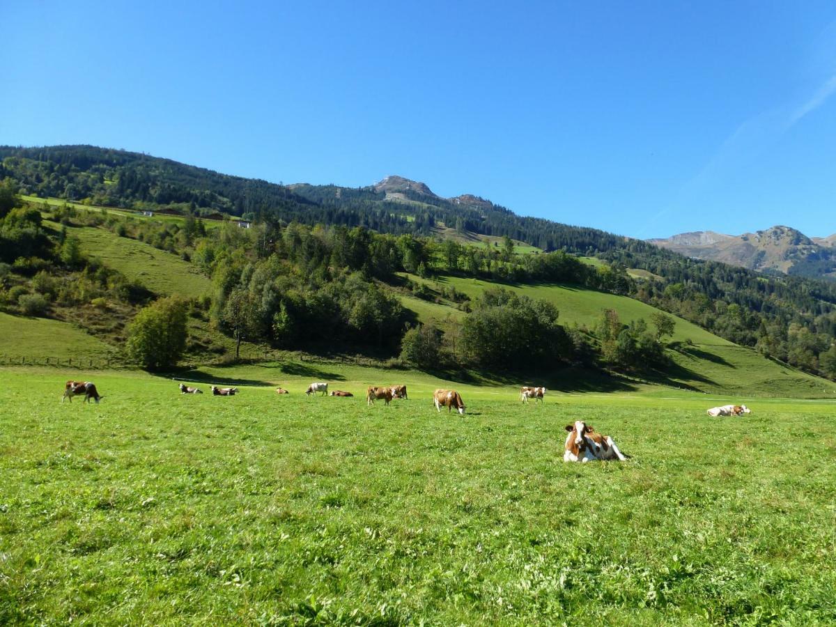 Vila Stubnerbauer Bad Hofgastein Exteriér fotografie